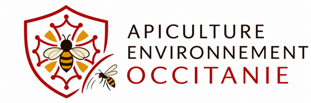 logo api occitanie