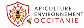 logo api occitanie